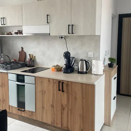 Svetlana Apartament *